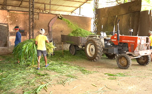 Shree Hari Vocational Training Programs